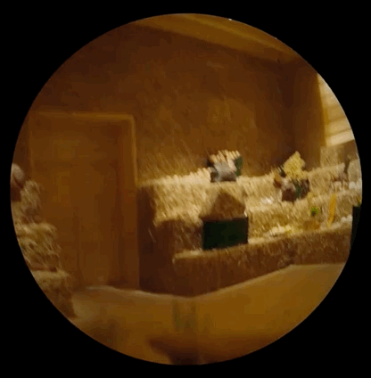 密室中的爱马仕？还真是爱马仕的密室！熊猫体育(图19)