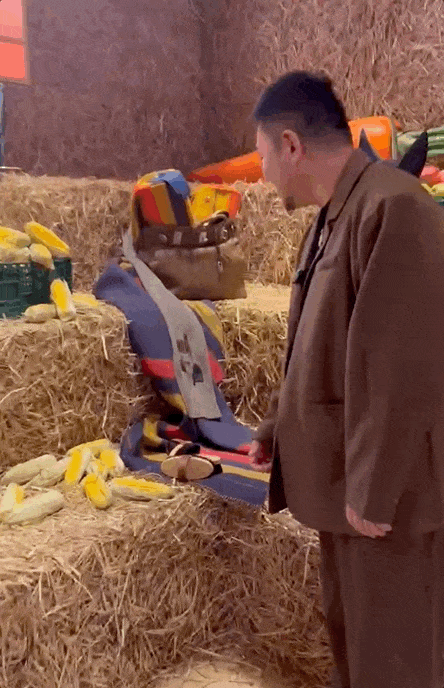 密室中的爱马仕？还真是爱马仕的密室！熊猫体育(图24)