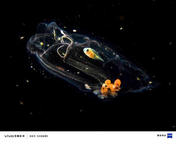 三十载热爱同行  vivo Vision 发布会暨影像盛典盛大举办(图12)