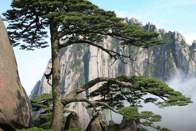 黄山双飞四日游参团多少钱?纯玩精品团路线图近期出行高性价比(图2) 黄山双飞四日游参团多少钱?纯玩精品团路线图近期出行高性价比(图2)