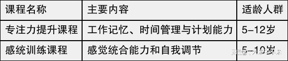 深圳儿童专注力提升课程科学评测与系统训练让大米和小米课程(图1)